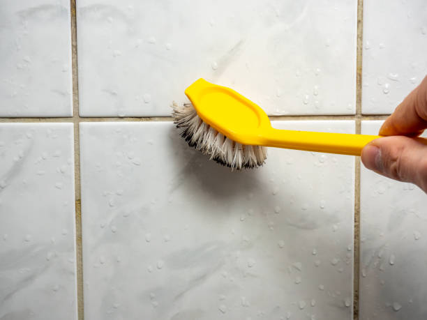 Best Mold Testing  in Paxton, IL