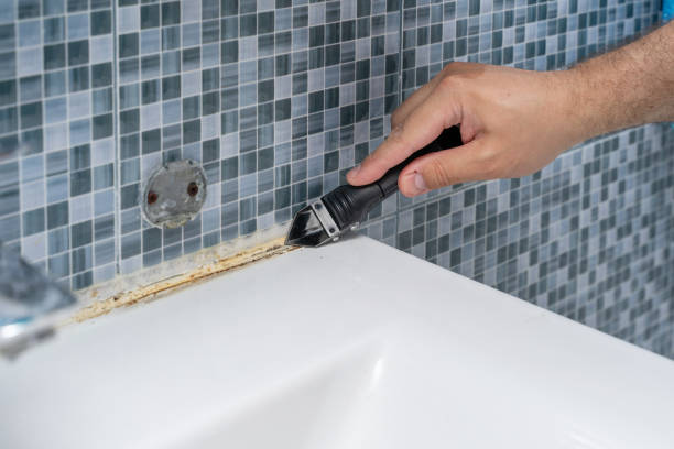 Best Mold Damage Repair  in Paxton, IL